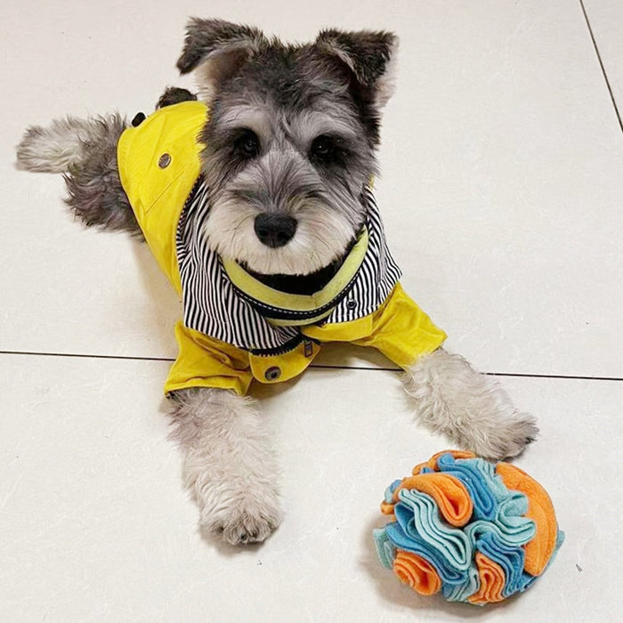 Snuffle ball Dog Puzzle Toy