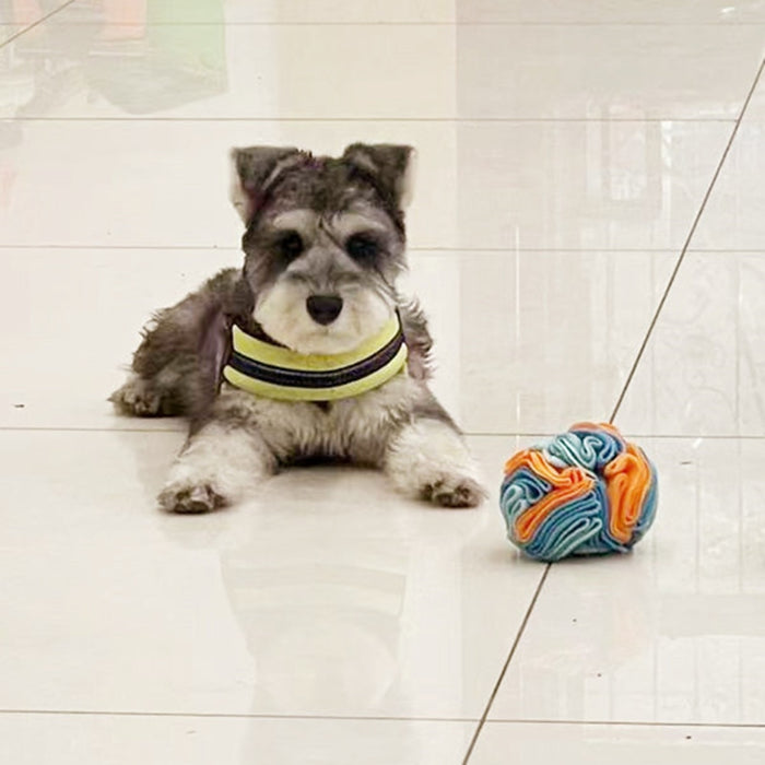 Snuffle ball Dog Puzzle Toy