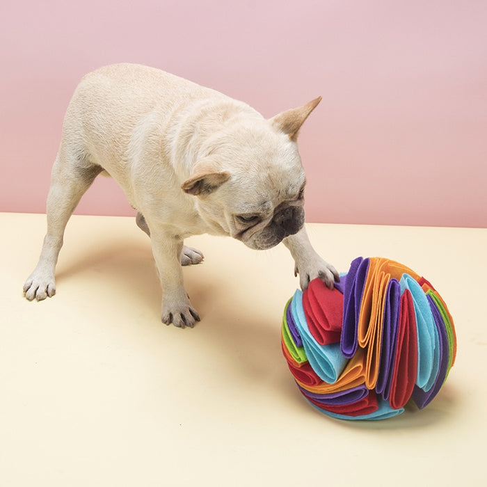 Snuffle ball Dog Puzzle Toy