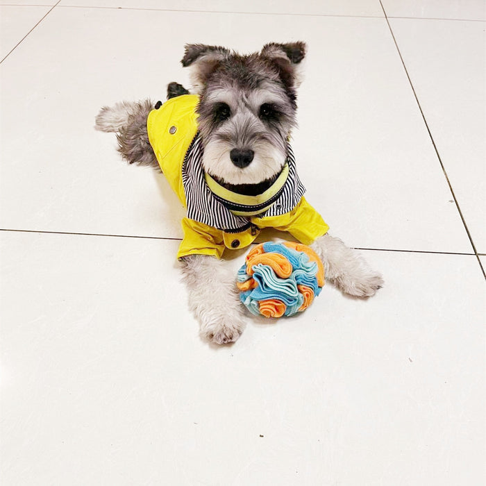 Snuffle ball Dog Puzzle Toy